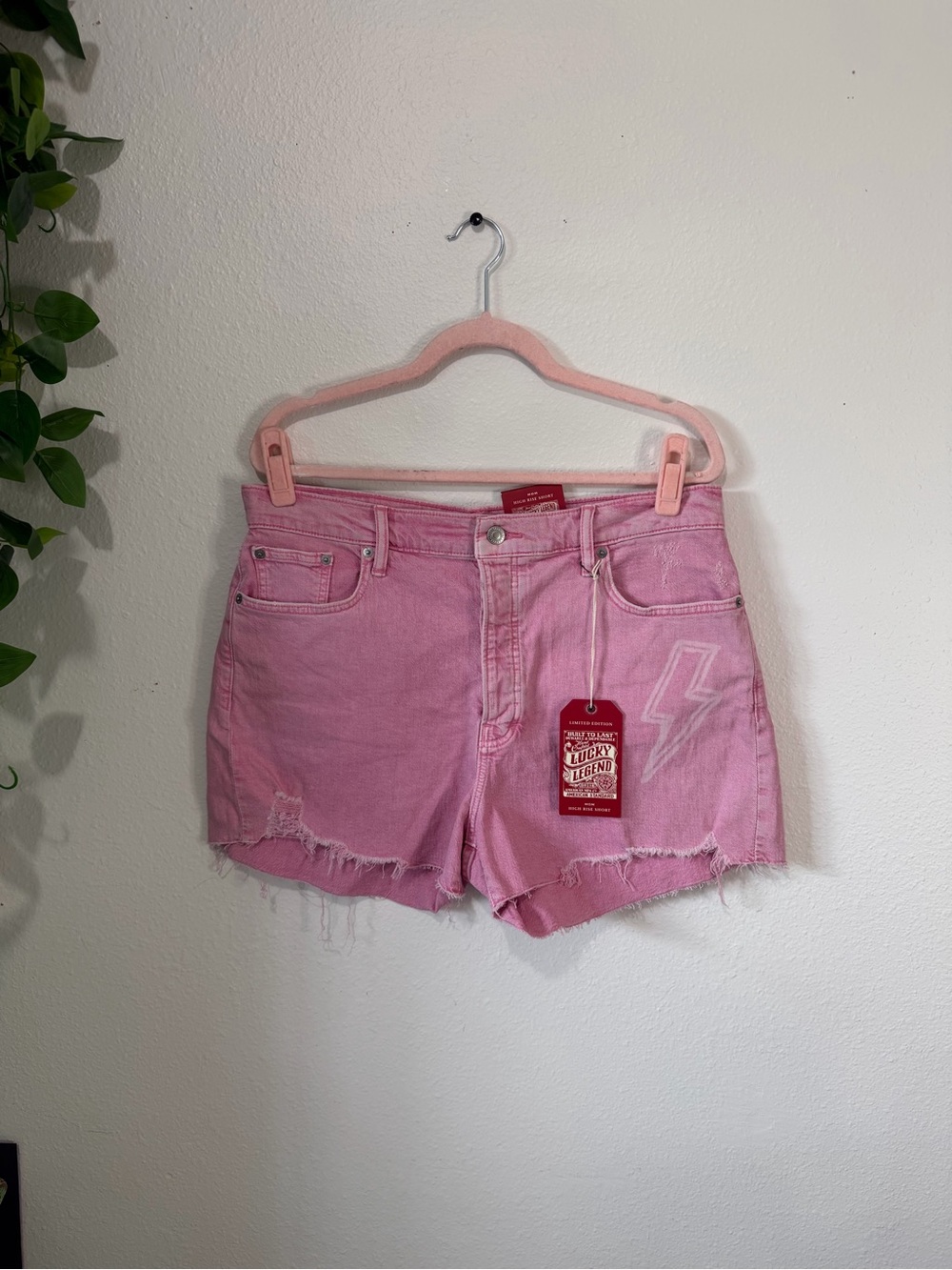 NWT Lucky Brand Legend AC/DC Mom High Rise Shorts 14 Pink Limited Edition